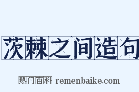 茨棘之间造句是什么意思的图片